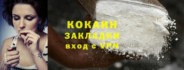 соль ск Каменка