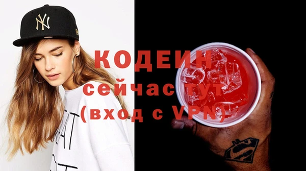 соль ск Каменка