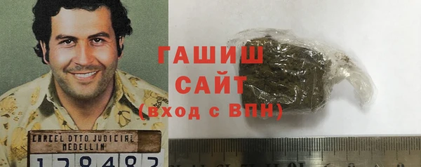 соль ск Каменка