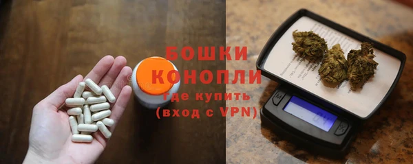 соль ск Каменка