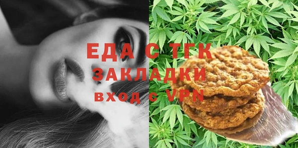 соль ск Каменка