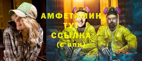 соль ск Каменка