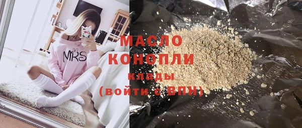 соль ск Каменка