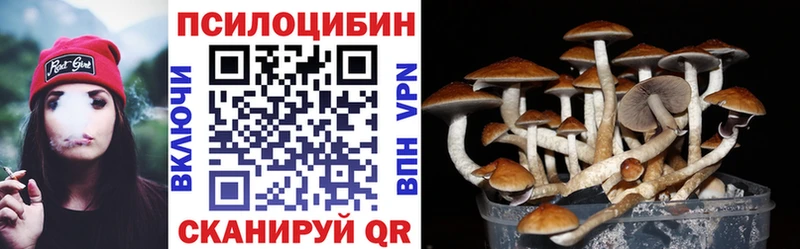 Галлюциногенные грибы прущие грибы Северск