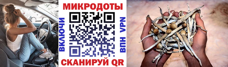 Псилоцибиновые грибы Psilocybine cubensis  Купить закладки  Северск 